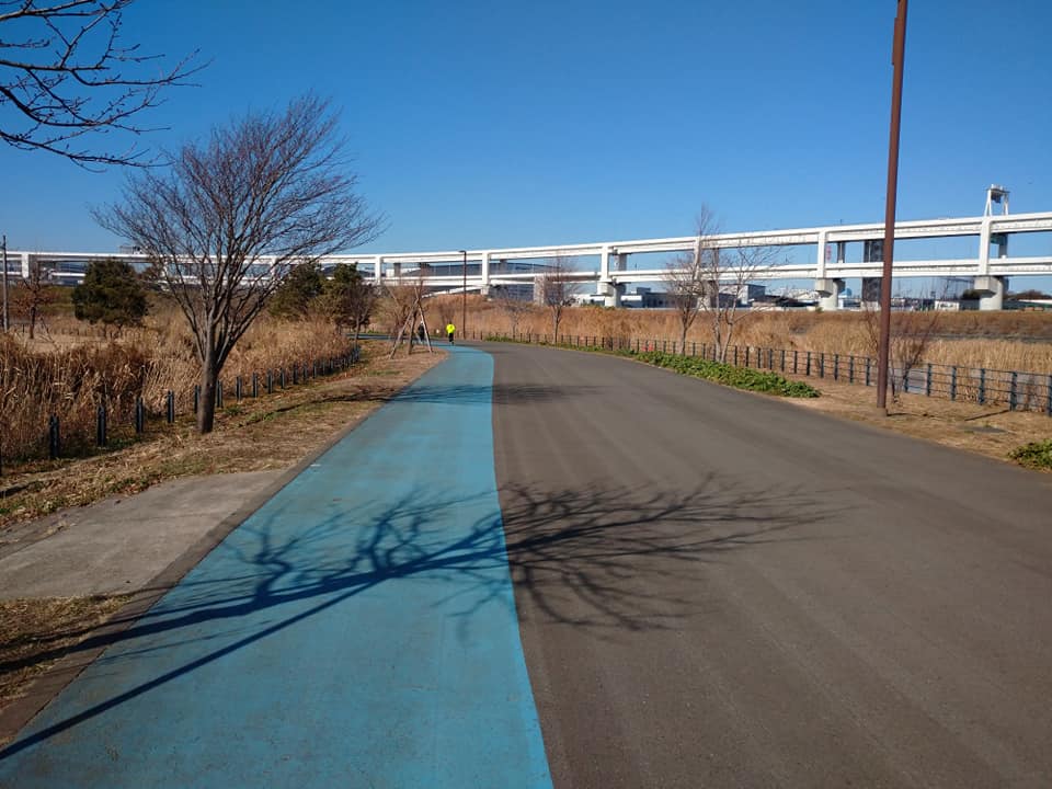 f:id:kotetsu5050y:20210112144727j:plain