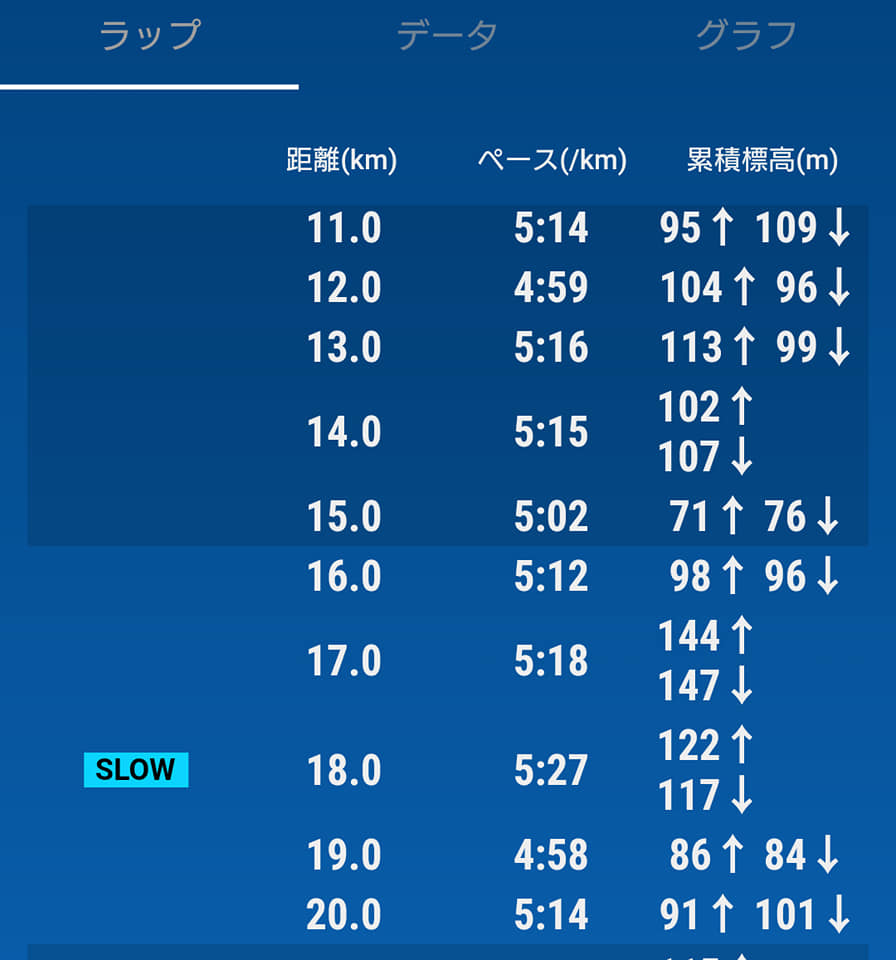 f:id:kotetsu5050y:20210131202508j:plain