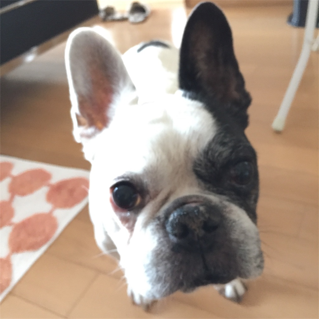 f:id:kotetsu5102:20170309082311j:image f:id:kotetsu5102:20170309082311j:image
