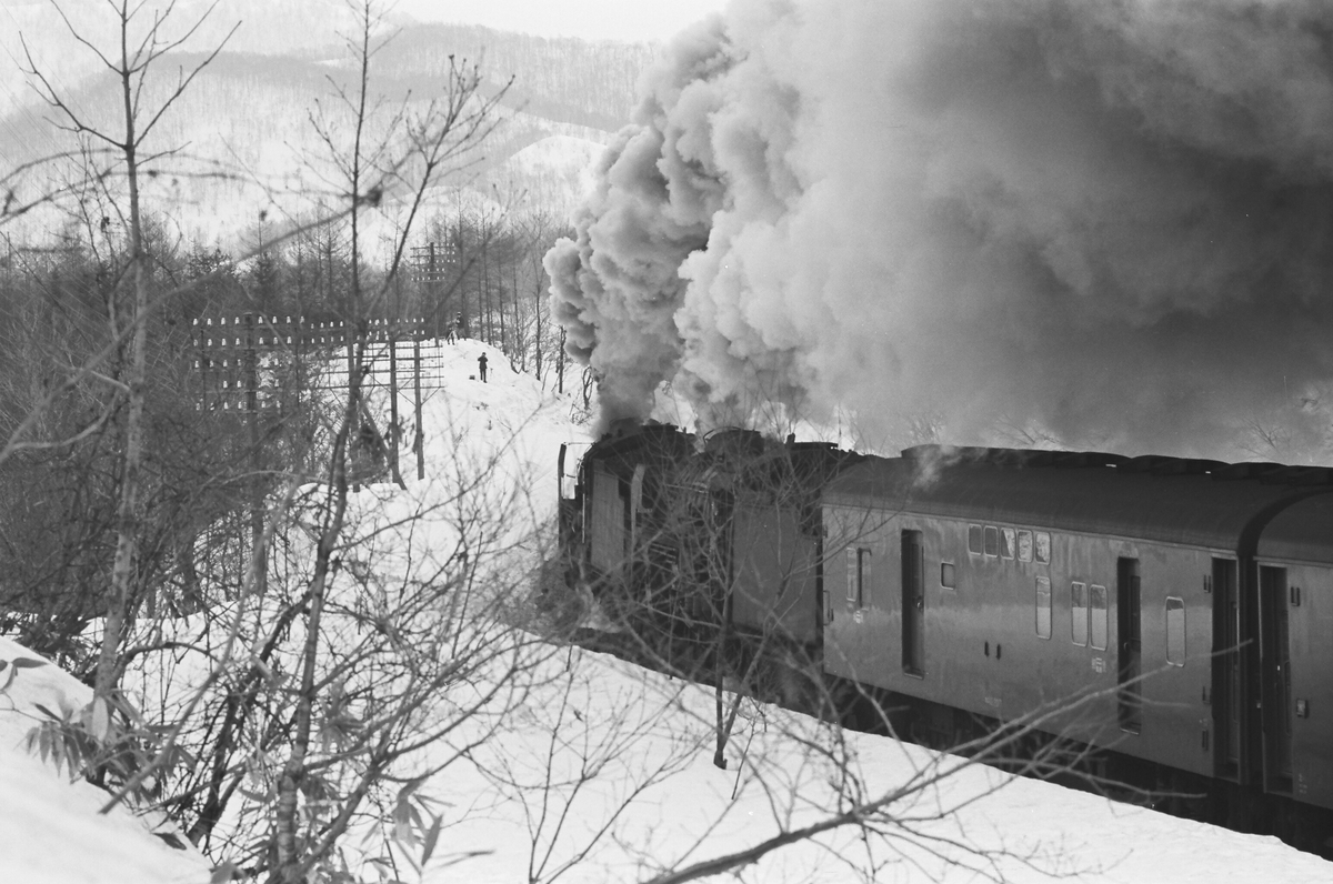蒸気機関車 雪中走行 モノクロ写真 蒸気機関車 雪中走行 モノクロ写真 - メルカリ