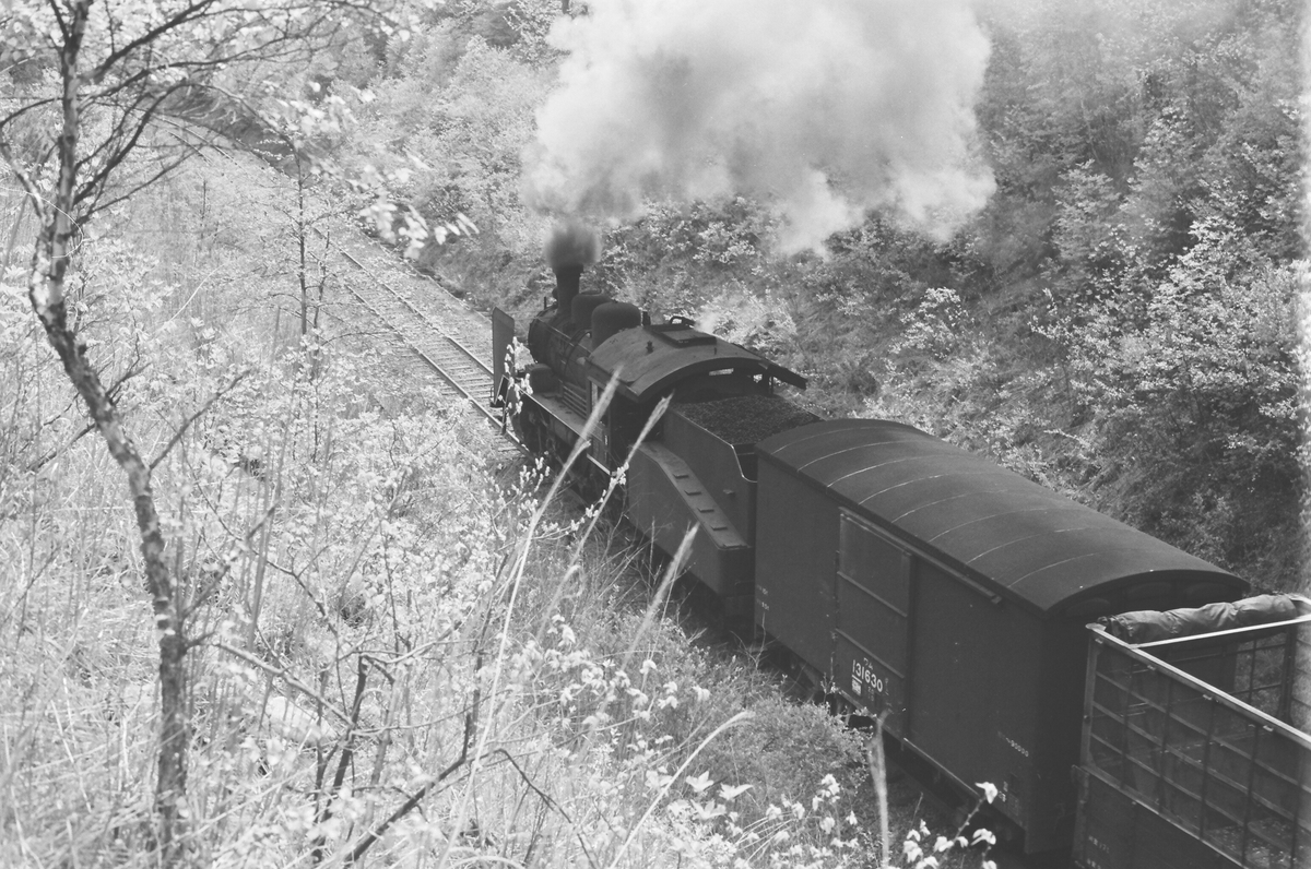 小海線のC56・その3 - お安く気軽にゆるっと16番