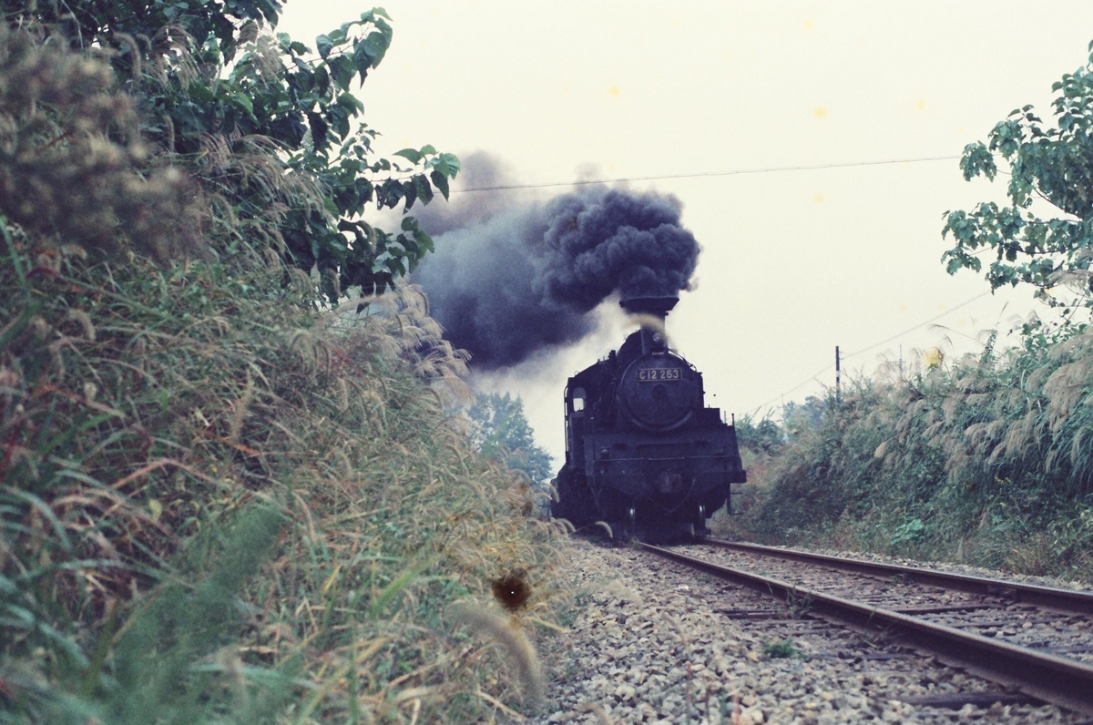 渡良瀬渓谷を行くC12・足尾線 - お安く気軽にゆるっと16番