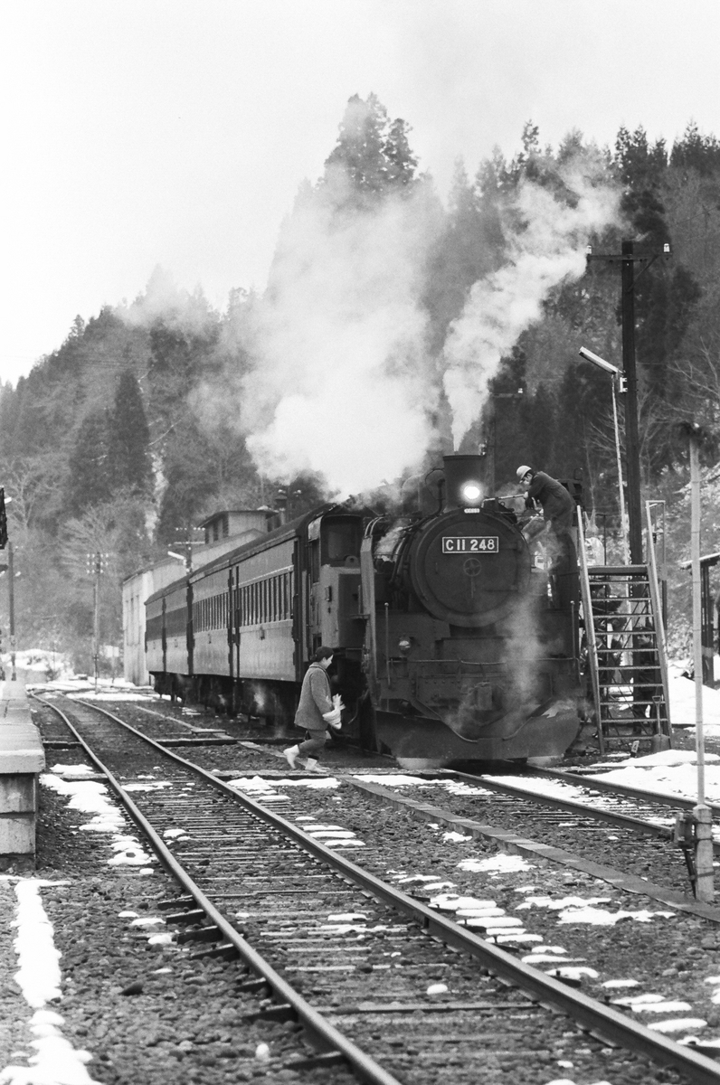 鉄橋を渡る汽車 会津只見線 - お安く気軽にゆるっと16番