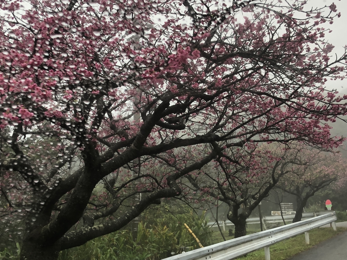 f:id:kotiemon:20220225073121j:plain
