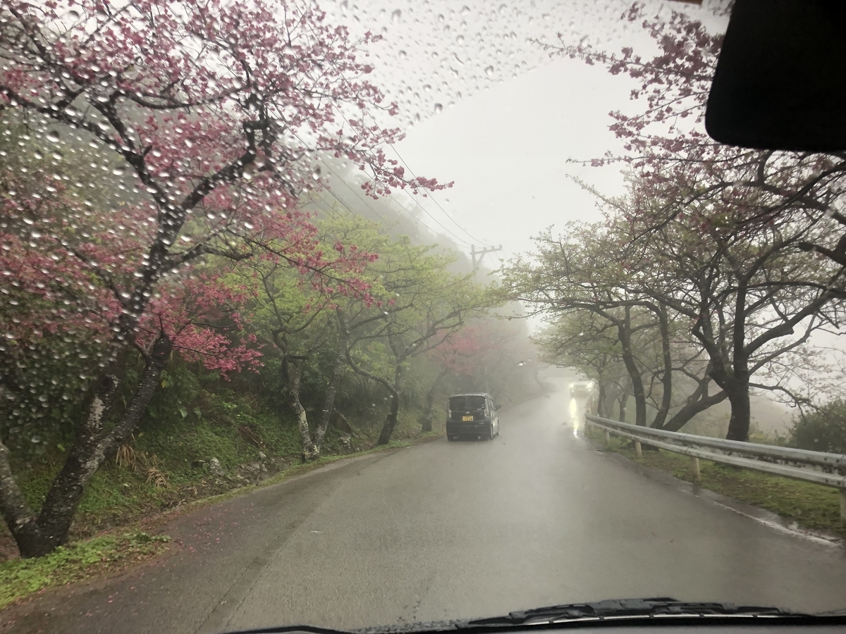 f:id:kotiemon:20220225073439j:plain