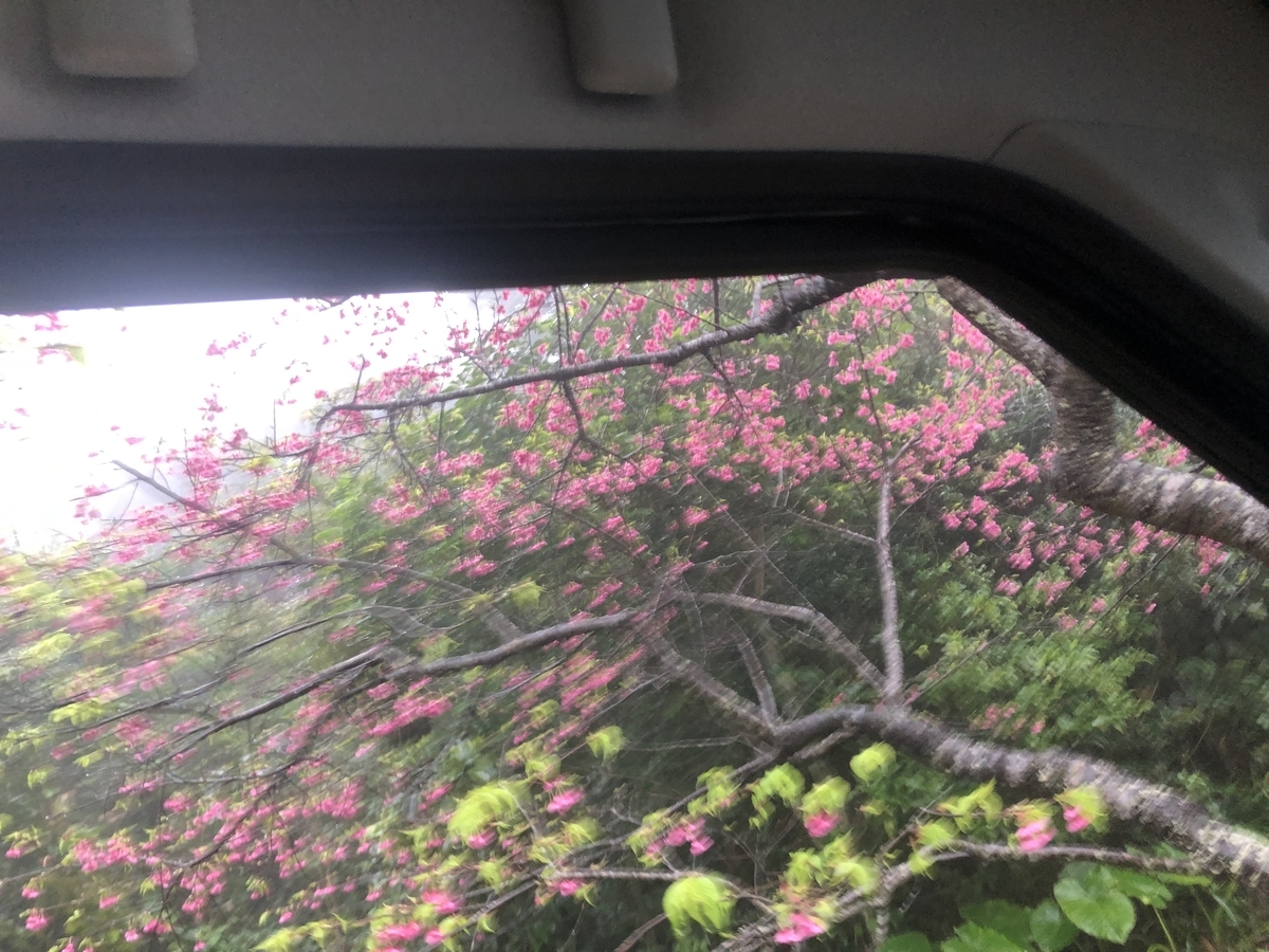f:id:kotiemon:20220225073618j:plain