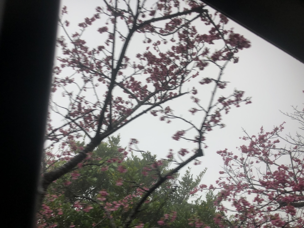 f:id:kotiemon:20220225073704j:plain
