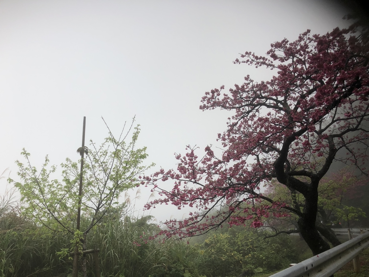 f:id:kotiemon:20220225073858j:plain