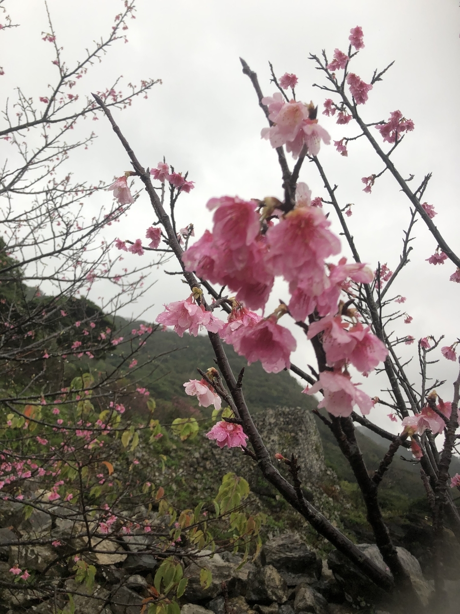 f:id:kotiemon:20220225195317j:plain