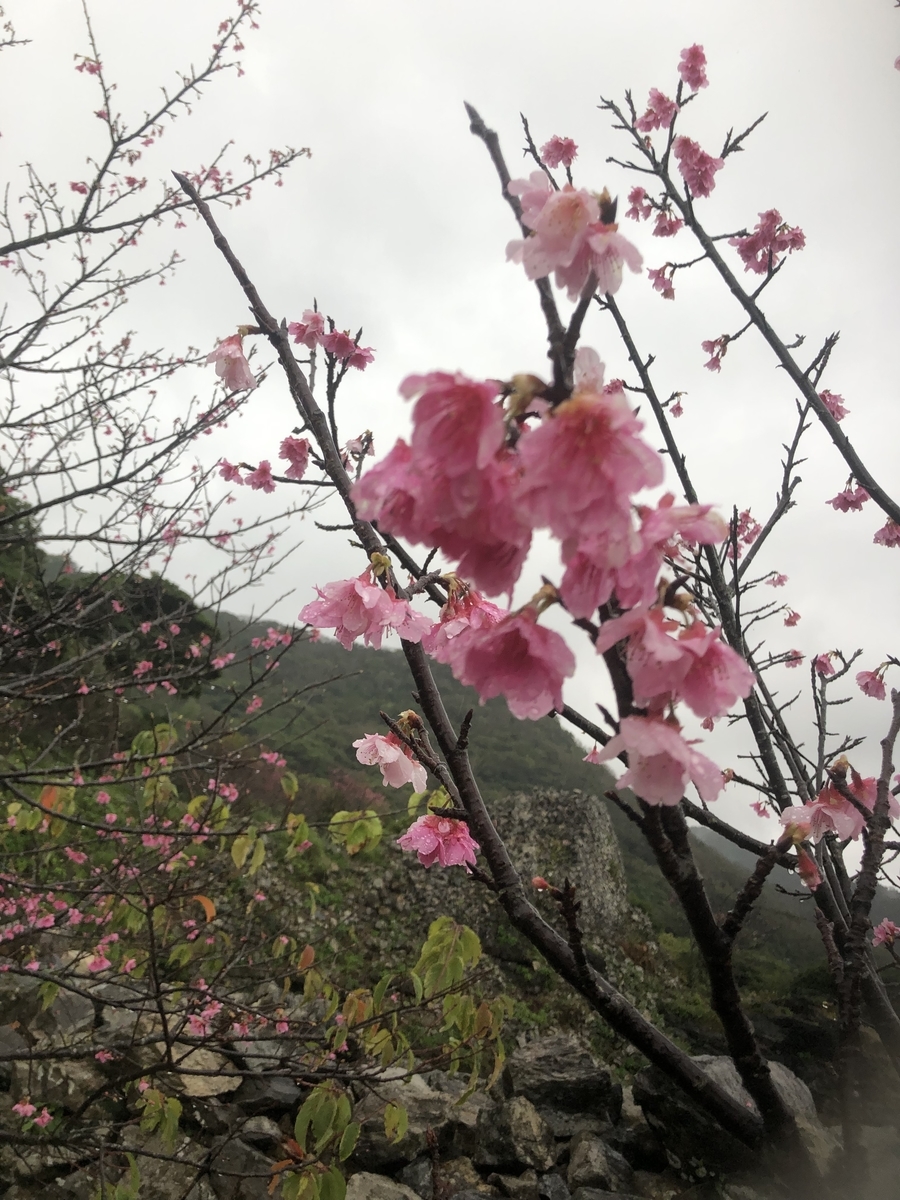 f:id:kotiemon:20220225201501j:plain