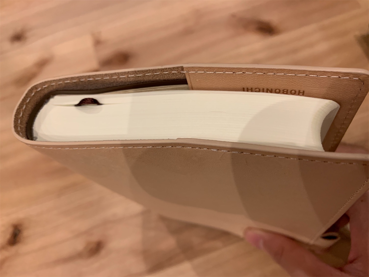 f:id:kotikena:20200913105436j:image f:id:kotikena:20200913105436j:image