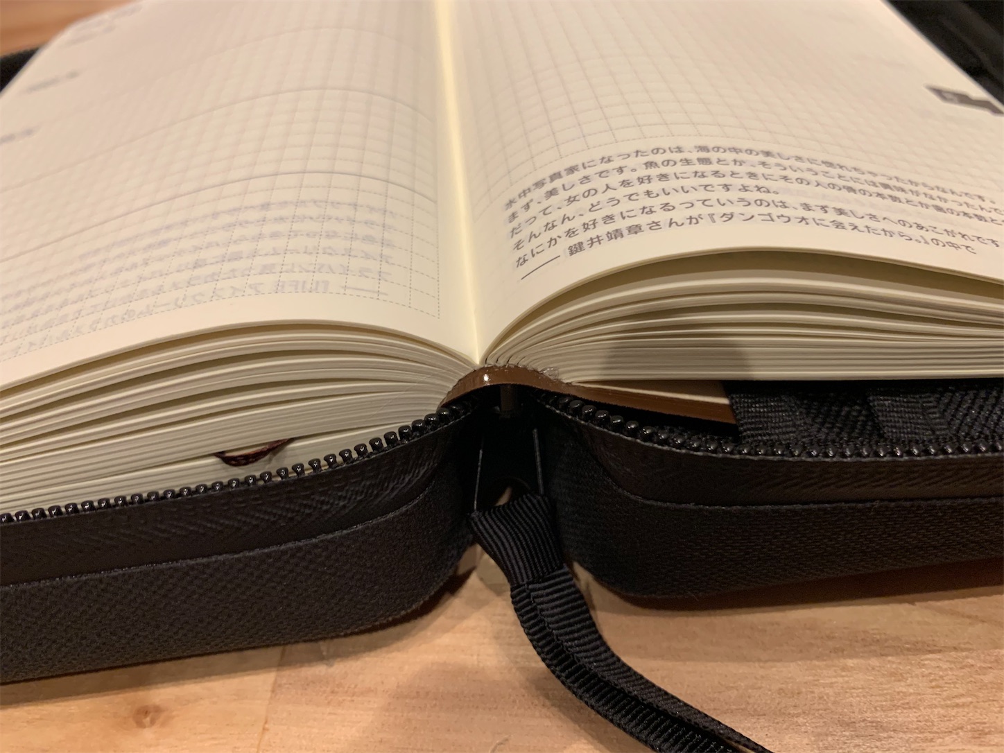 f:id:kotikena:20200913105440j:image f:id:kotikena:20200913105440j:image