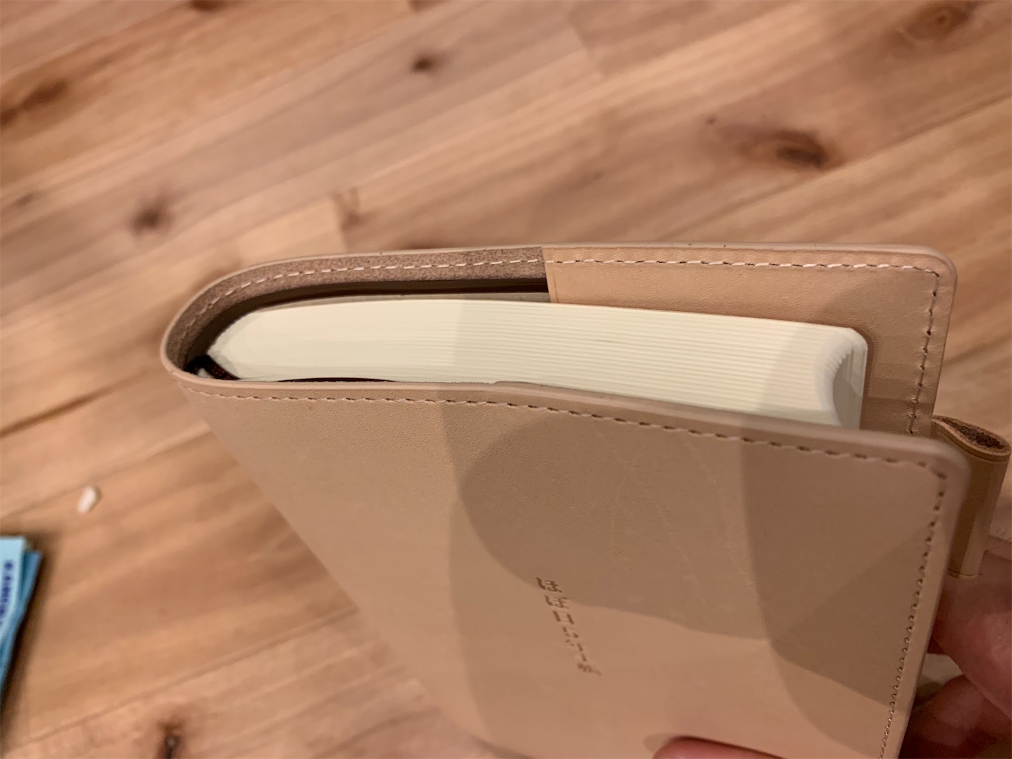 f:id:kotikena:20200913105452j:image f:id:kotikena:20200913105452j:image