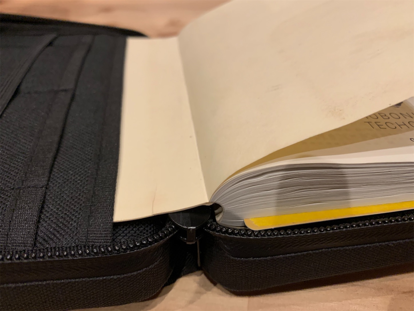 f:id:kotikena:20200913105532j:image f:id:kotikena:20200913105532j:image