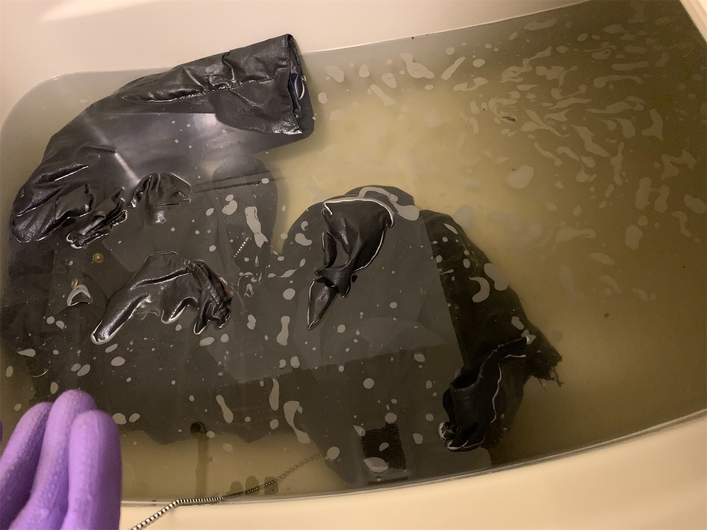 f:id:kotikena:20201107215707j:image f:id:kotikena:20201107215707j:image