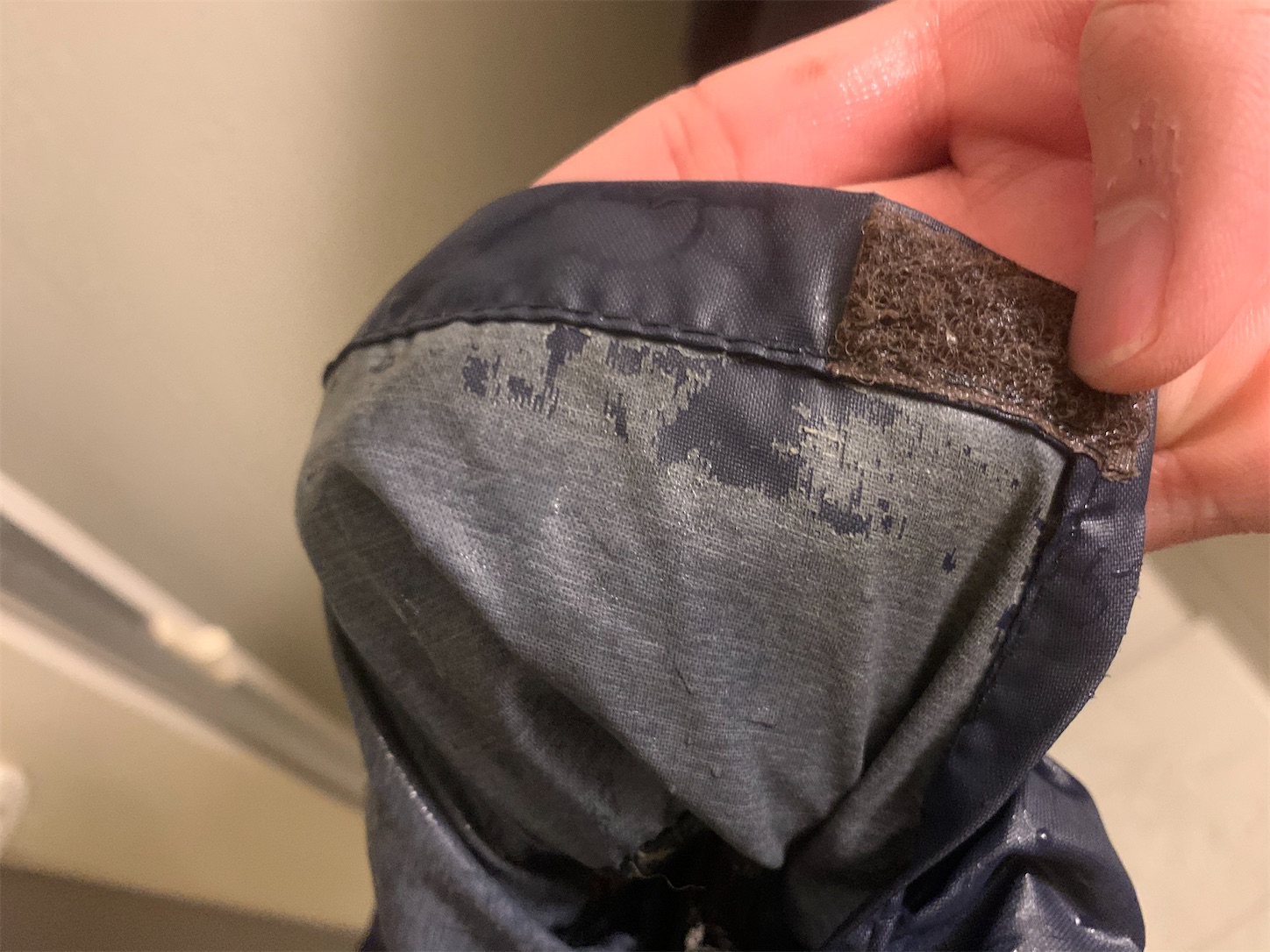 f:id:kotikena:20201107215737j:image f:id:kotikena:20201107215737j:image