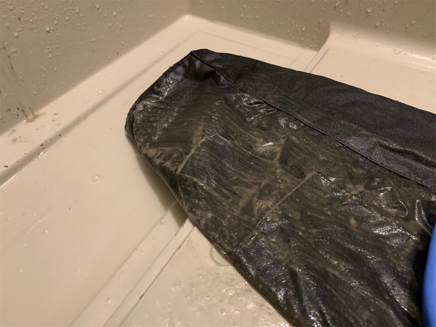 f:id:kotikena:20201107215746j:image f:id:kotikena:20201107215746j:image