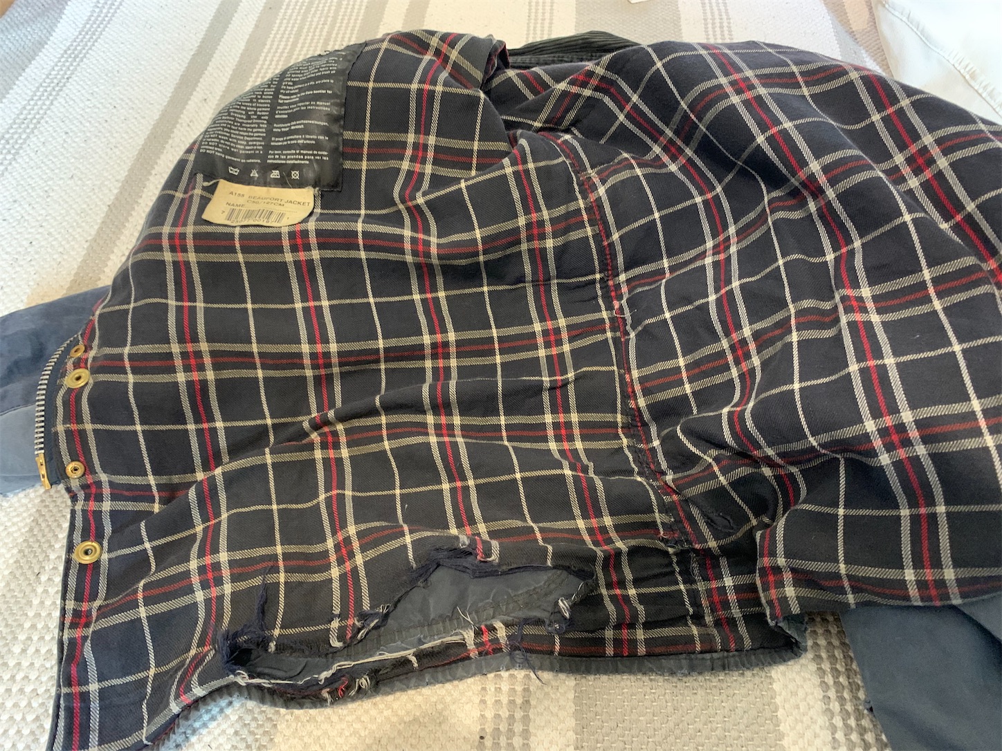 f:id:kotikena:20201108083607j:image f:id:kotikena:20201108083607j:image