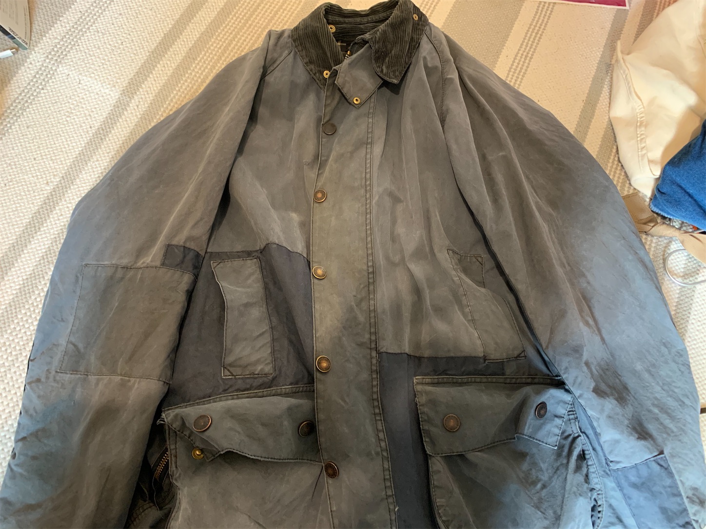 f:id:kotikena:20201108083611j:image f:id:kotikena:20201108083611j:image