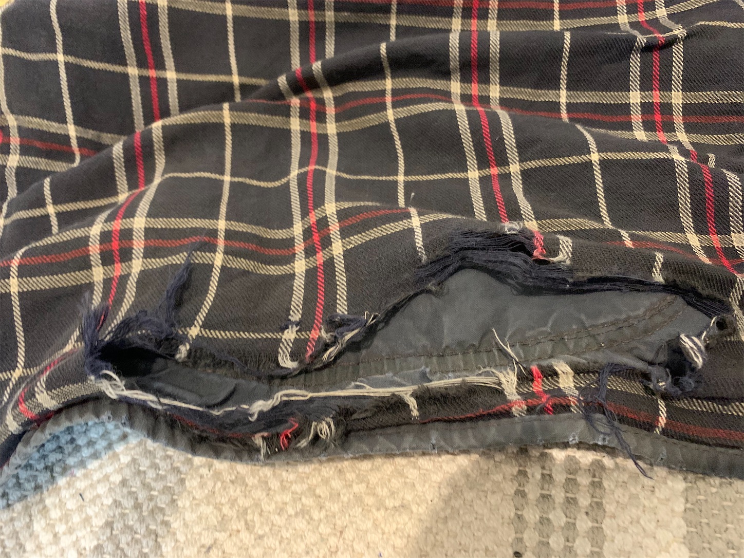 f:id:kotikena:20201108083654j:image f:id:kotikena:20201108083654j:image