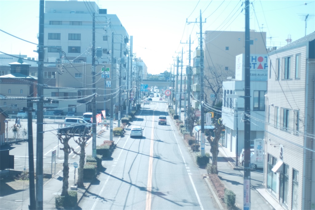 f:id:kotikena:20210130153206j:image