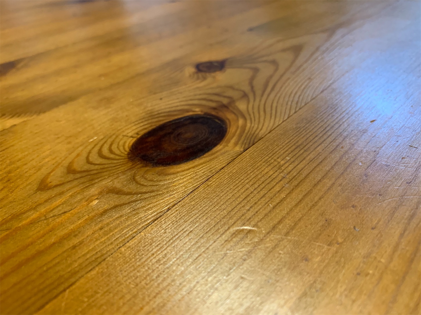 f:id:kotikena:20210525113658j:image f:id:kotikena:20210525113658j:image