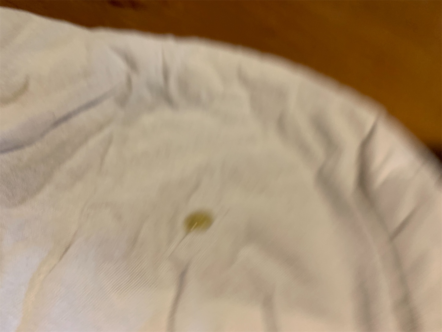 f:id:kotikena:20210525113742j:image f:id:kotikena:20210525113742j:image