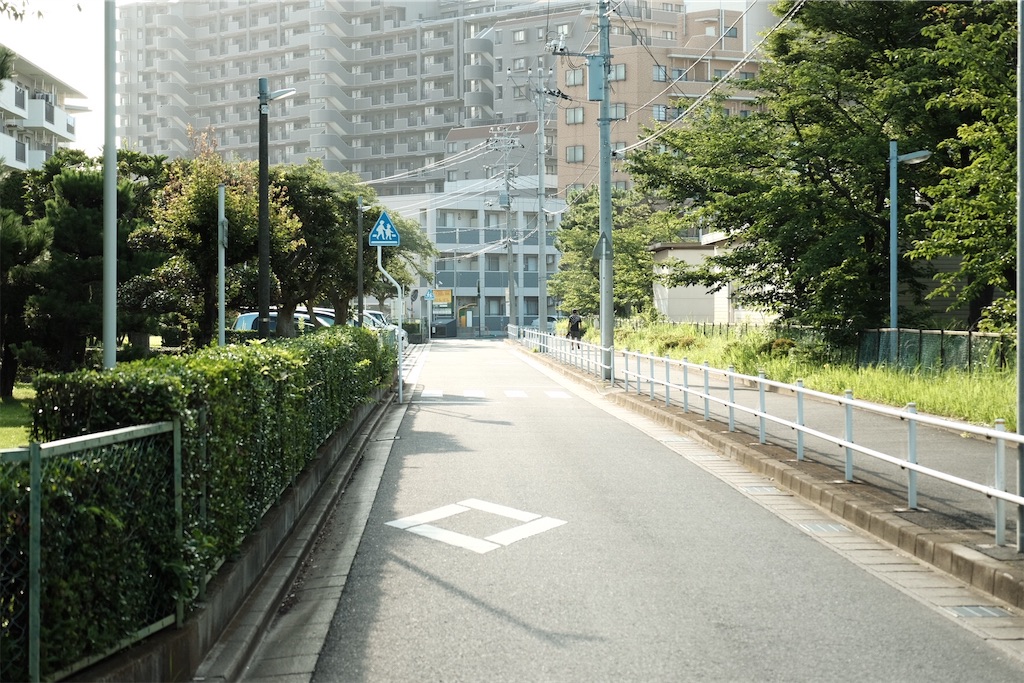 f:id:kotikena:20210718174313j:image f:id:kotikena:20210718174313j:image