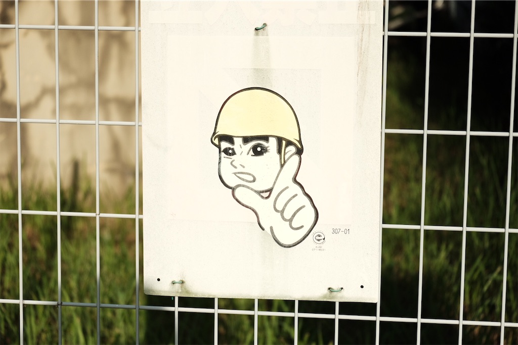 f:id:kotikena:20210718174345j:image f:id:kotikena:20210718174345j:image