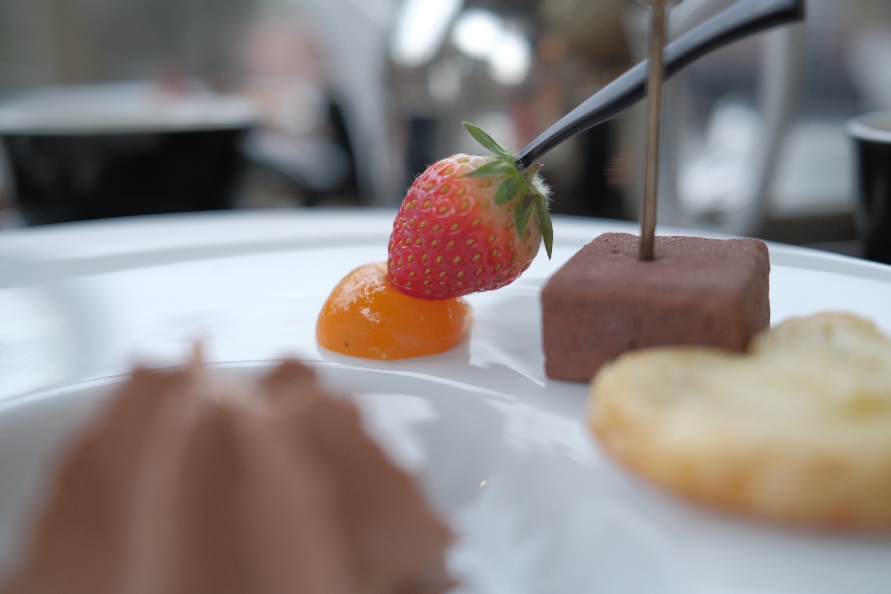 f:id:kotikena:20220219212702j:image f:id:kotikena:20220219212702j:image