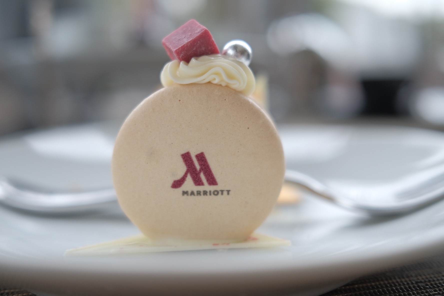 f:id:kotikena:20220219212750j:image f:id:kotikena:20220219212750j:image