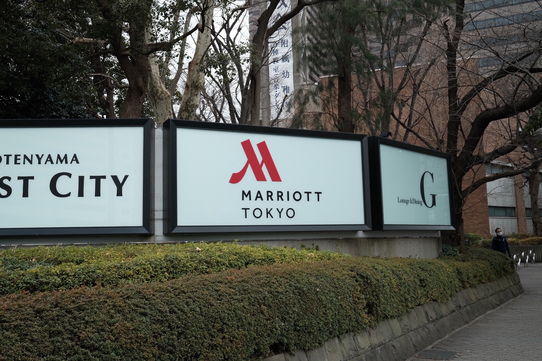 f:id:kotikena:20220219212828j:image f:id:kotikena:20220219212828j:image