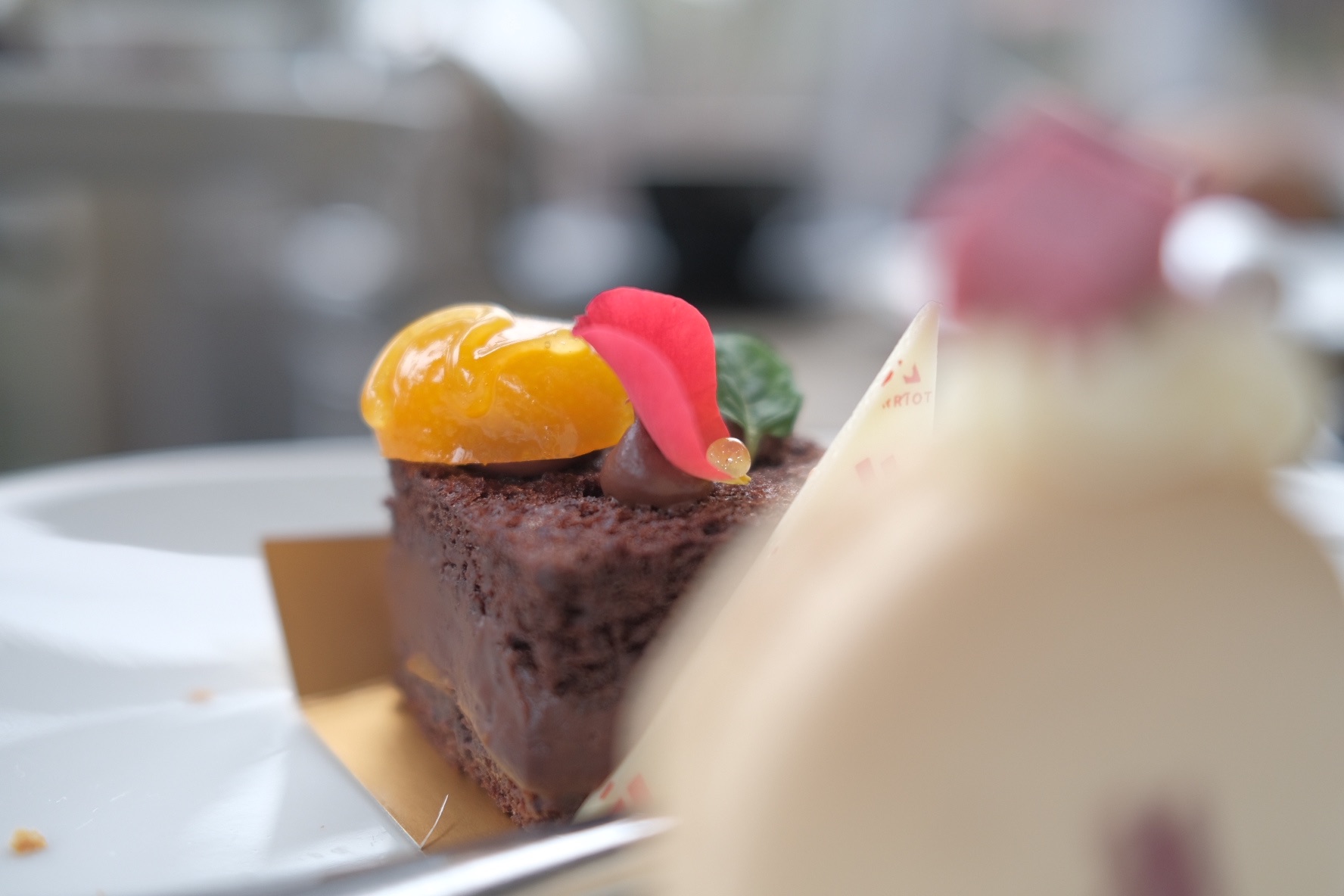 f:id:kotikena:20220219212832j:image f:id:kotikena:20220219212832j:image