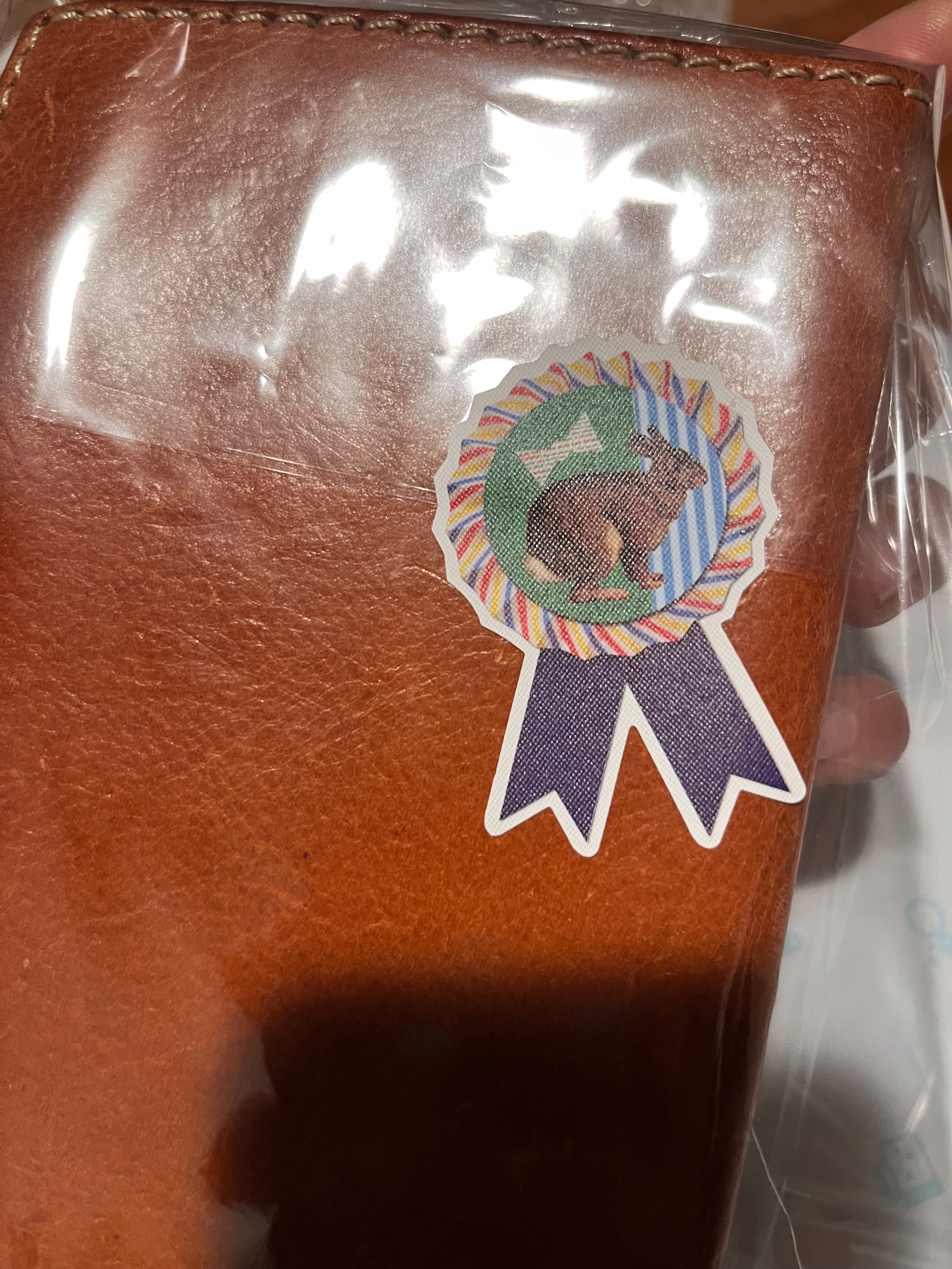 f:id:kotikena:20220625084537j:image f:id:kotikena:20220625084537j:image