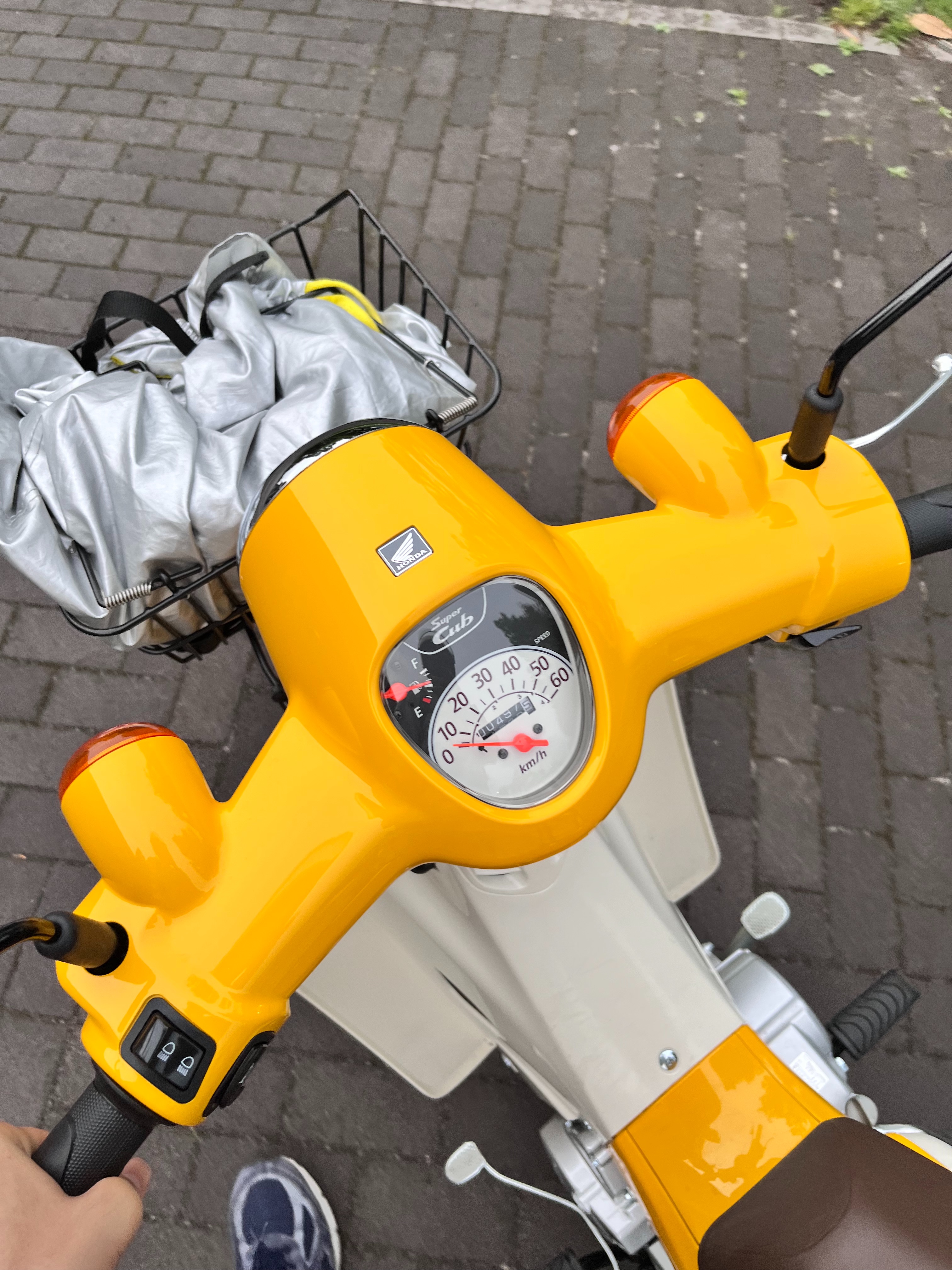 f:id:kotikena:20220709230435j:image f:id:kotikena:20220709230435j:image