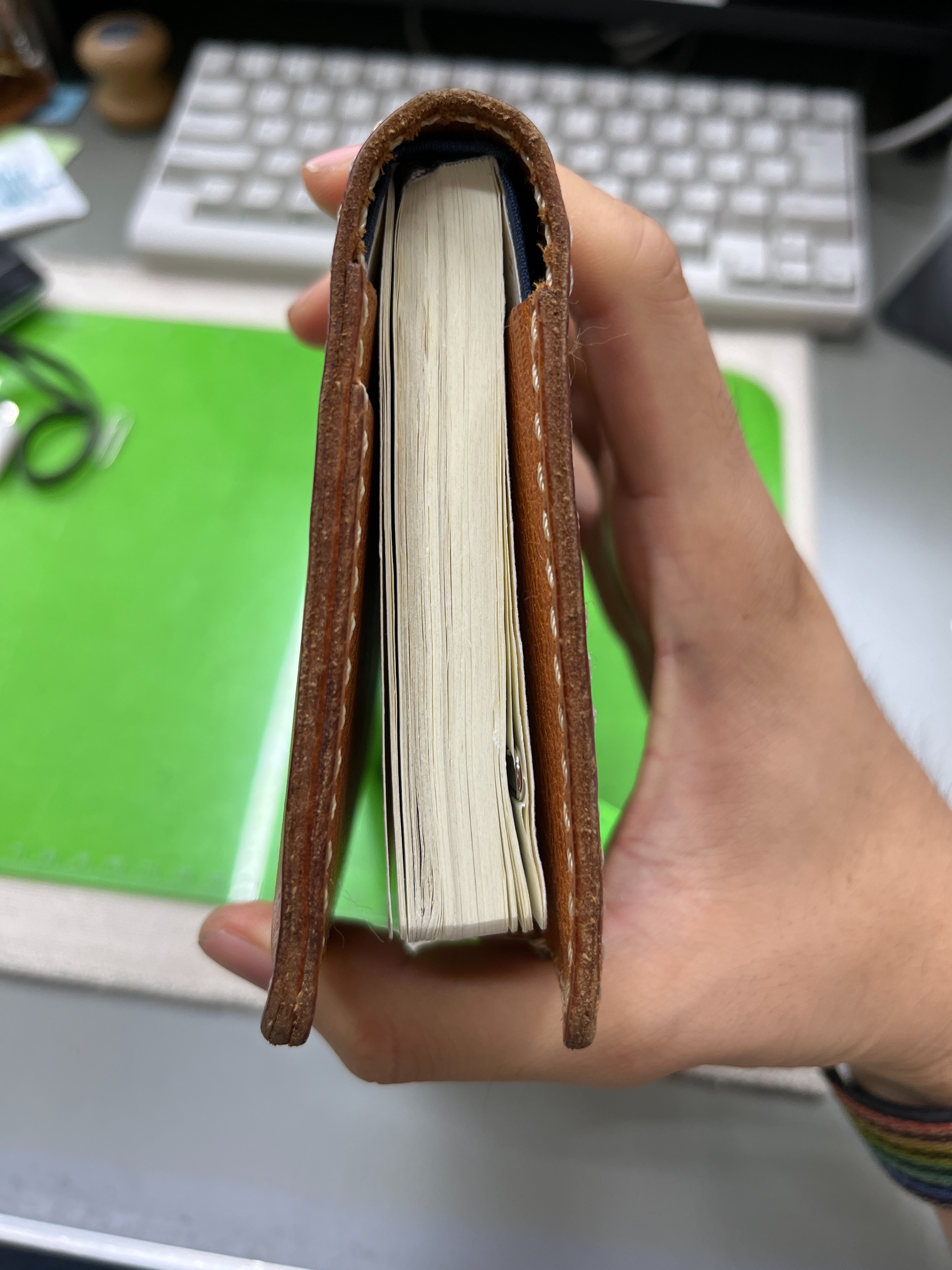 f:id:kotikena:20220829130555j:image f:id:kotikena:20220829130555j:image