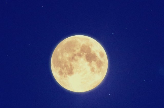 f:id:kotimutiko:20210428055209j:image f:id:kotimutiko:20210428055209j:image