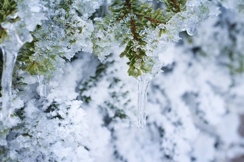 f:id:kotimutiko:20240116140727j:image