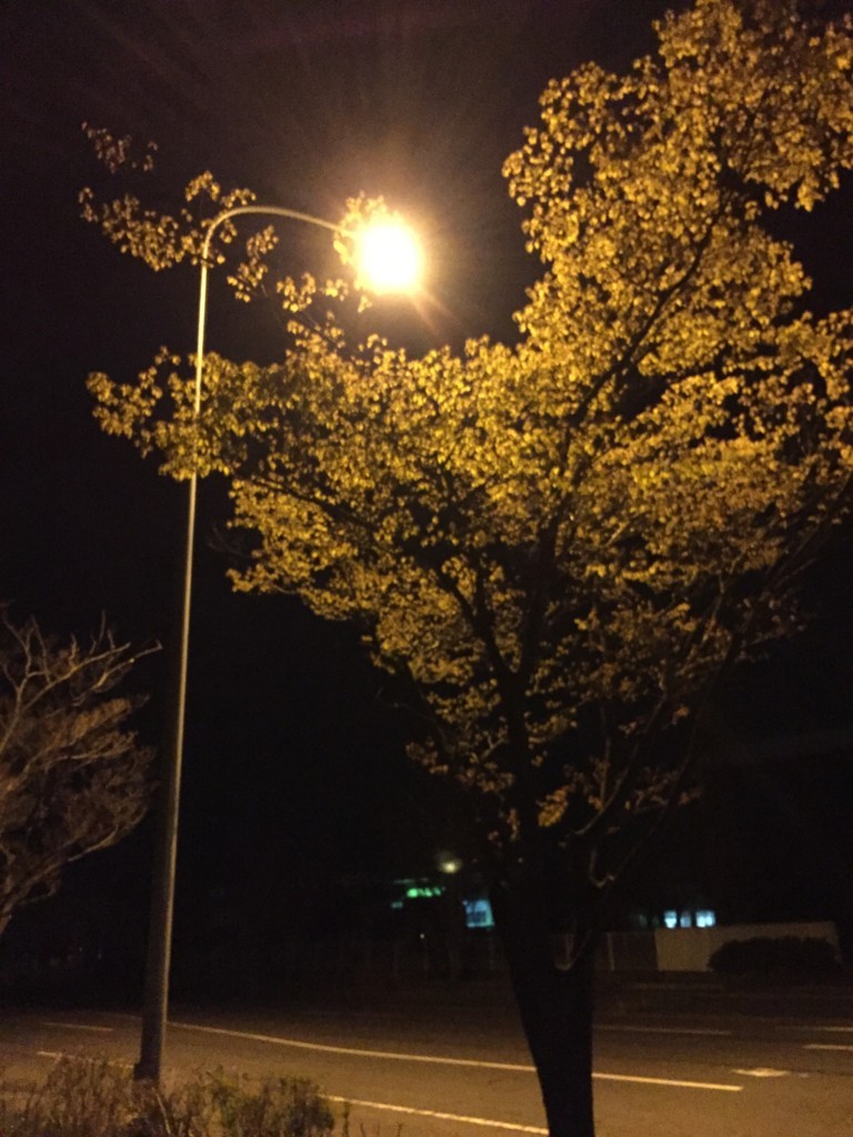 f:id:kotiqsai:20180420012933j:plain f:id:kotiqsai:20180420012933j:plain