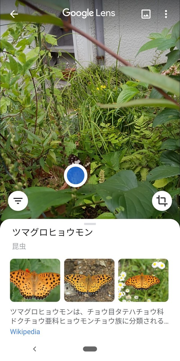 f:id:kotiqsai:20200924103426j:plain f:id:kotiqsai:20200924103426j:plain