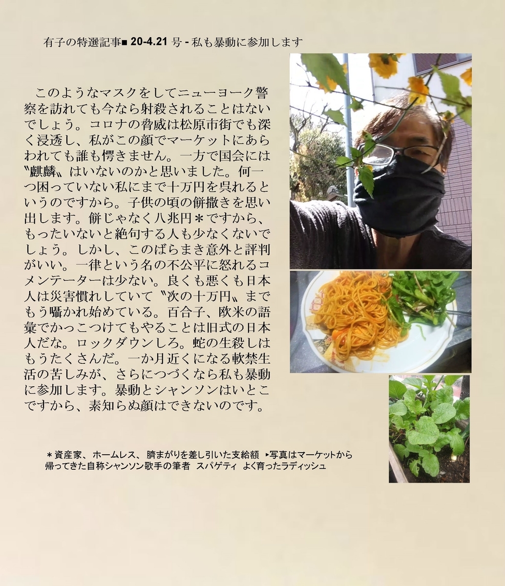 f:id:kotiraamiko:20200430130855j:plain