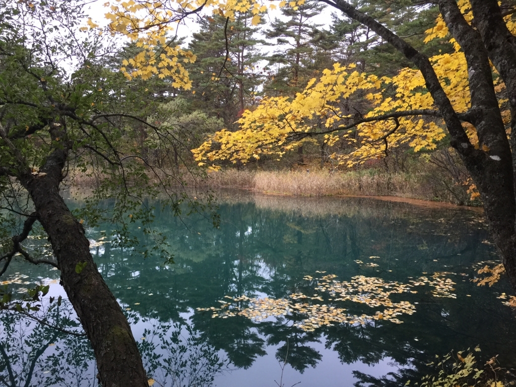 f:id:koto-x:20180226233932j:plain