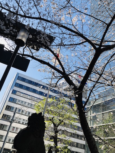 f:id:koto_no_ha_writing:20200320210828j:plain