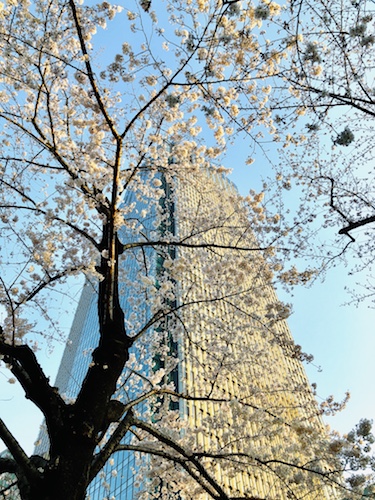 f:id:koto_no_ha_writing:20200320210843j:plain