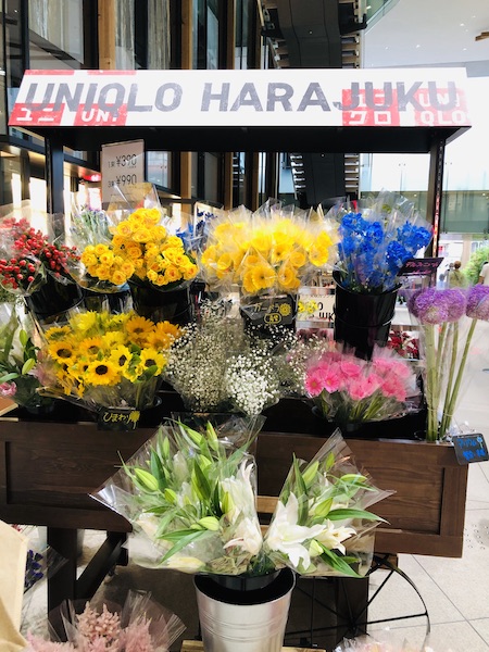 f:id:koto_no_ha_writing:20200608200042j:plain f:id:koto_no_ha_writing:20200608200042j:plain