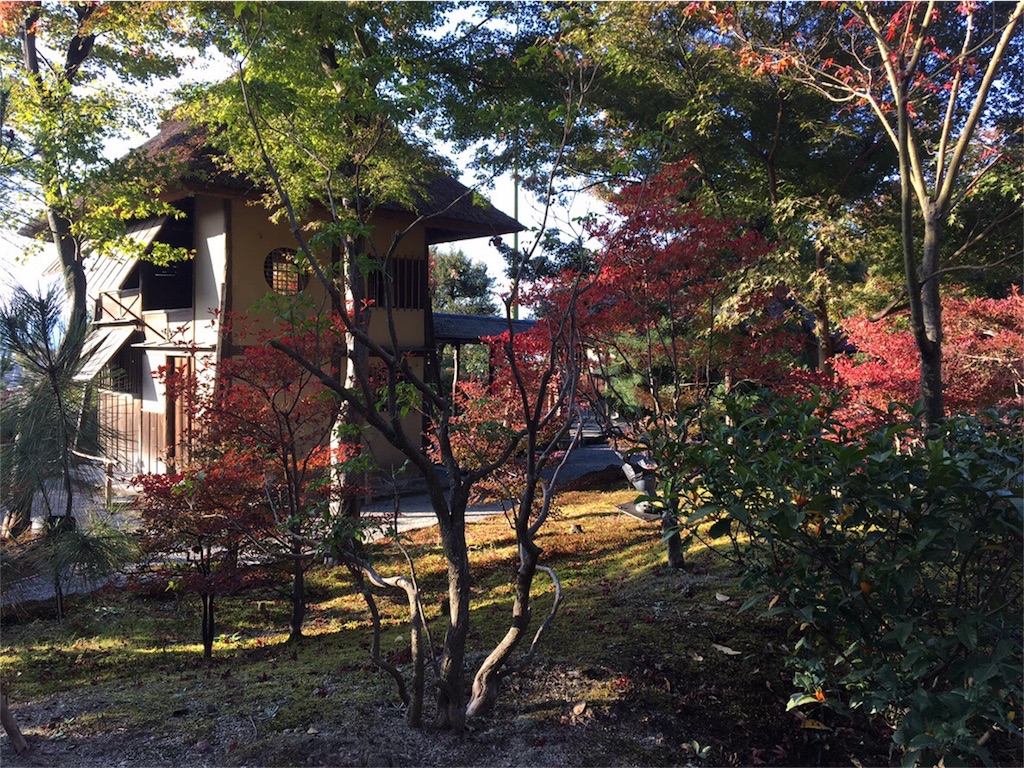 f:id:koto_oppo:20190111212911j:image