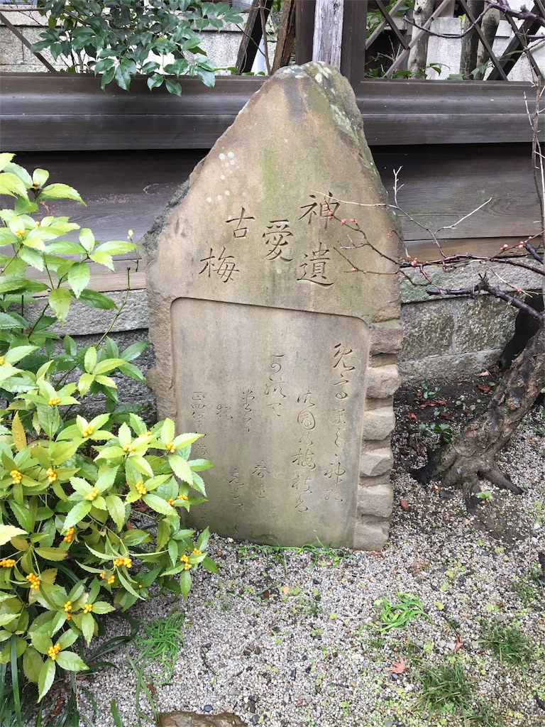 f:id:koto_oppo:20190214215414j:image f:id:koto_oppo:20190214215414j:image