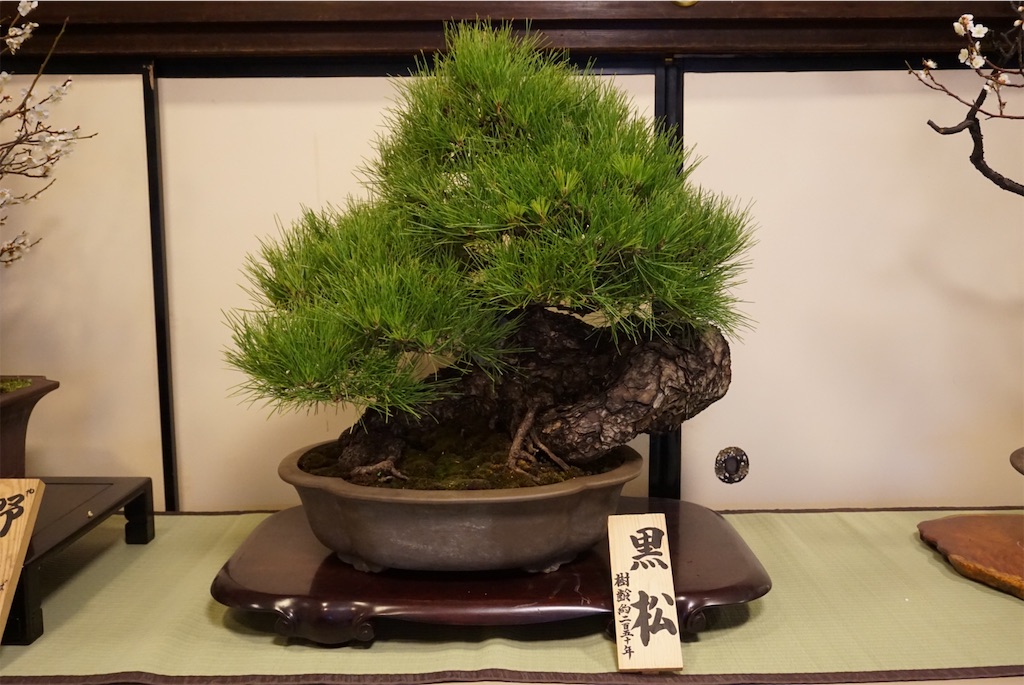 f:id:koto_oppo:20190301090118j:image