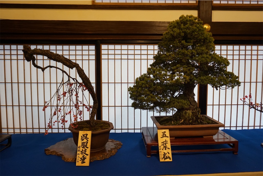 f:id:koto_oppo:20190301090121j:image