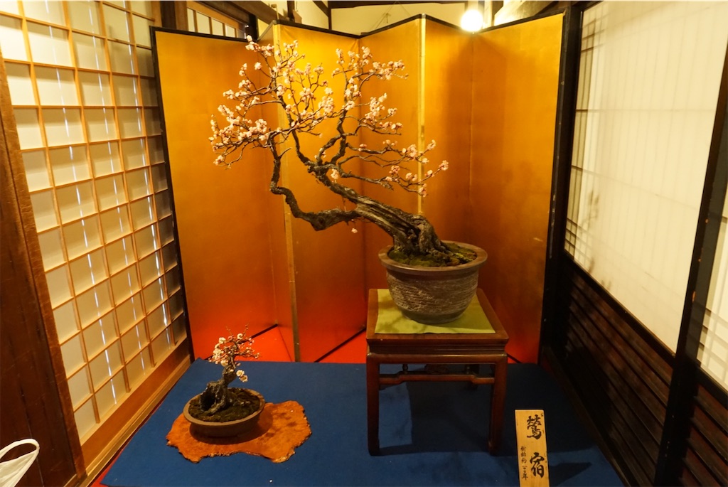 f:id:koto_oppo:20190301090127j:image